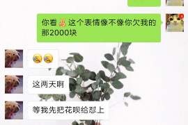 催收都是怎么说话的？揭秘催收技巧与沟通策略